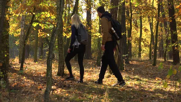 A Hiking Couple Walks Through a Forest on a Sunny Day
