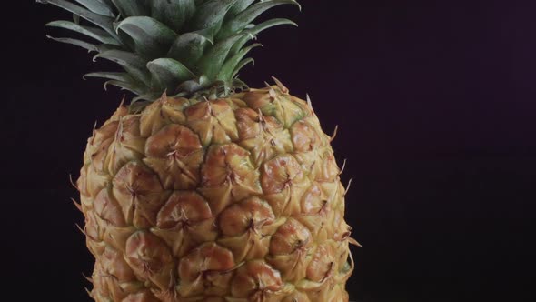 Pineapple Fruit rotation with black background