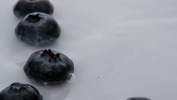 Slow motion of Falling Blueberries into water surface, white background, Extreme Macro