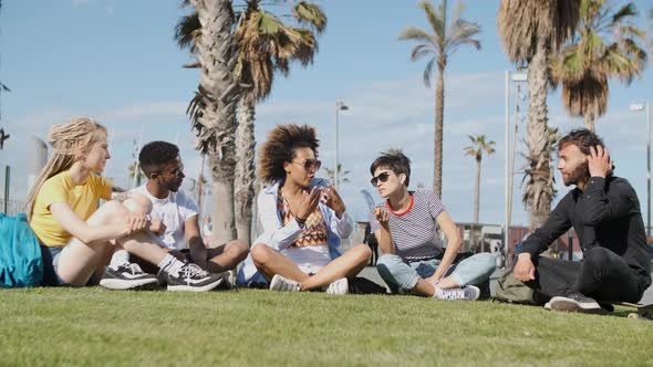 Trendy Young Friends on Meadow in Sunlight