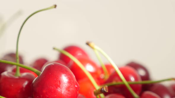 Sour cherries on white background slow tilting food natural  4K 2160p UltraHD footage - Wet Prunus c