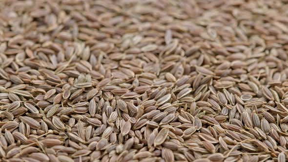 Dry Dill Seeds on Flat Surface Slow Rotating Looped Background