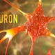 Neuron - VideoHive Item for Sale