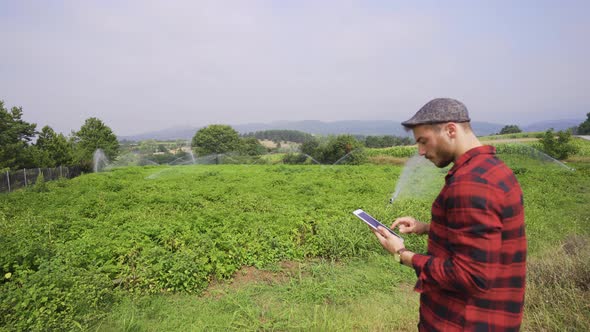 Farmer using tablet looks at his field.