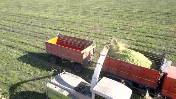 Close Upper View Silage Harvester Pours Corn Mass Into Truck