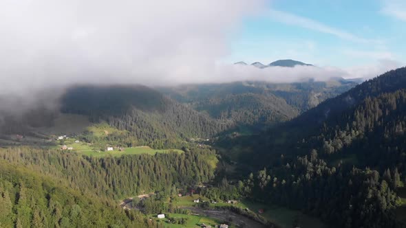 Aerial View of the Carpathian Mountain Valley with Green Meadows and Trees
