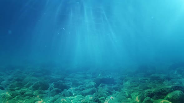 underwater animation alt