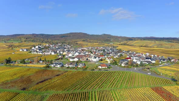 Germany, Hesse, Rheingau, Hallgarten among vinyards