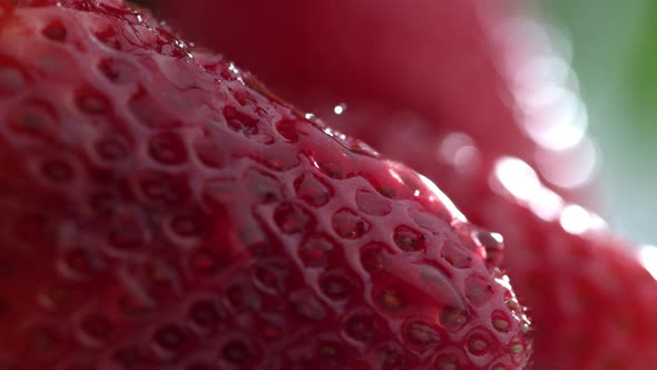 Extreme close-up of water drip on strawberry in slow motion; shot on Phantom Flex 4K at 1000 fps alt