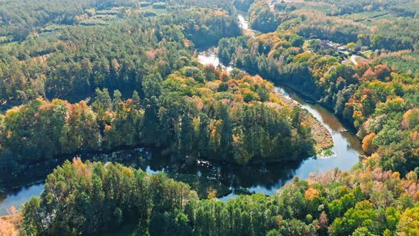 Forest and river in autumn. Aerial view of wildlife, Poland.