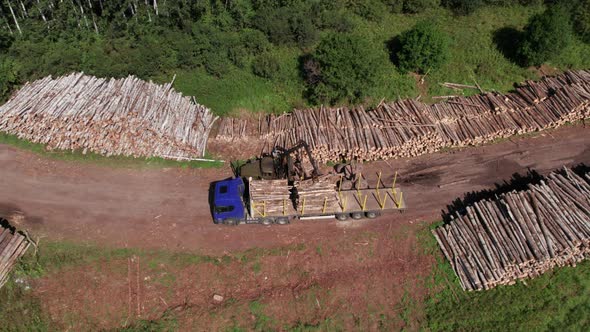 The Deforestation of Siberia Economic and Environmental Problems in Russian Forest Management