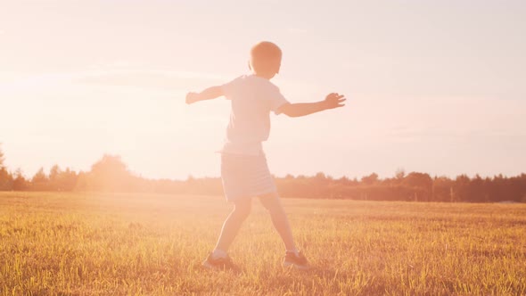 Little boy plays with a toy plane in a field at sunset. Childhood, freedom, inspiration concept.