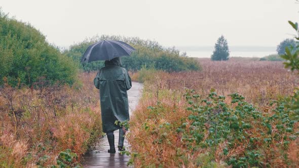 The Silhouette of a Sad Man in a Raincoat with an Umbrella Walking Along a Path in the Rain