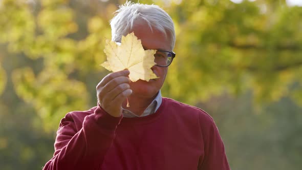 Middleaged Caucasian Man Showing a Leaf to the Camera Later Showing His Face Portrait Selective