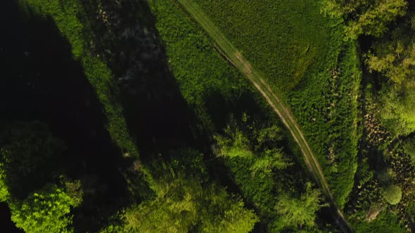 Wonderful top view of a forward flying drone over a green meadow with green trees along a little cre