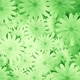 Spinning Chamomiles Green Background - VideoHive Item for Sale