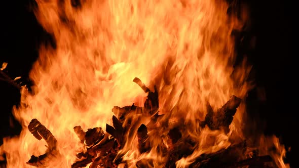 Big Bonfire Burns at Night on a Black Background