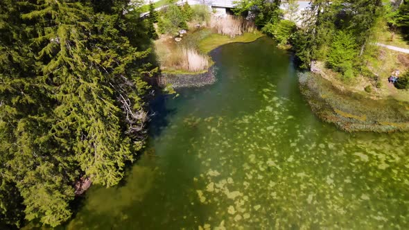 Beautiful small Lake in the Mountains Drone Video