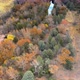 Sedona Oak Creek Fall Fly Over - VideoHive Item for Sale