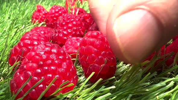 Rasberries, Raspberry Fruit Healthy Food