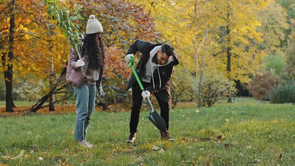 Young Group People Activists Participate in Social Volunteer Project for Reforestation Plant Tree in