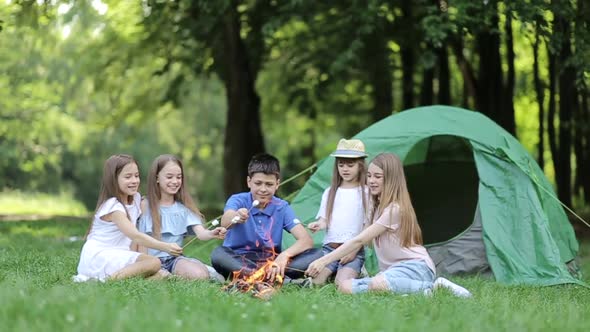 Family picnic in nature. Children with their mother fry marshmallows on skewers