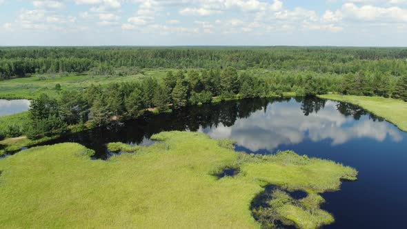 Flight Over the Taiga Forest Lake