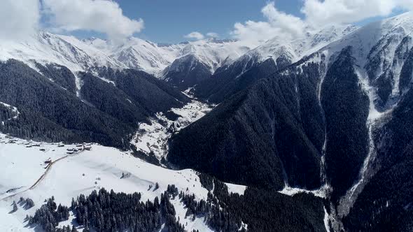 high snowy mountains forests