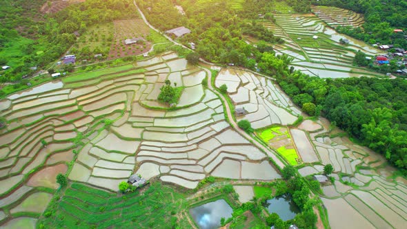 Drone flying over rice terraces field in countryside