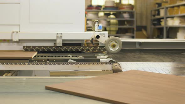 Chipboards on Conveyer at Furniture Factory 7