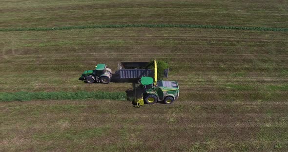 Сombine collects fodder crops