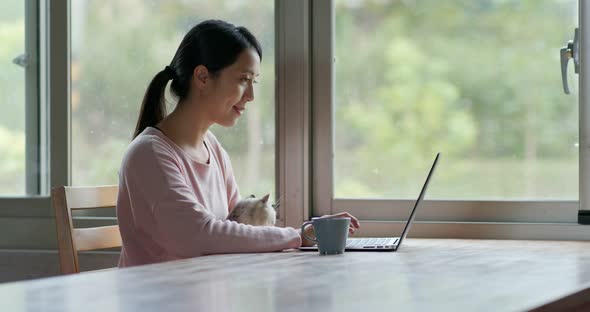 Woman work on laptop computer with her cat at home