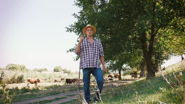 Young Villager Man Shepherd in Straw Hat with His Flock of Cows on a Rural Background Slow Motion