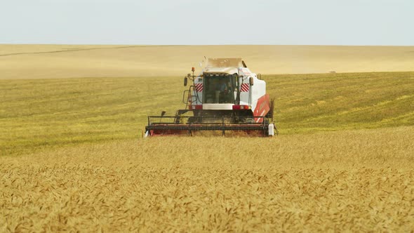 Slow Movement of Agricultural Harvester in Field Collecting Harvest of Wheat. Static Shot of Passing