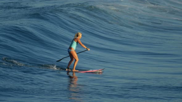 A young woman SUP surfing in a bikini on a stand-up paddleboard surfboard.