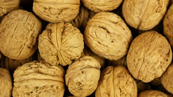 Background of big walnuts in shell, dolly shot