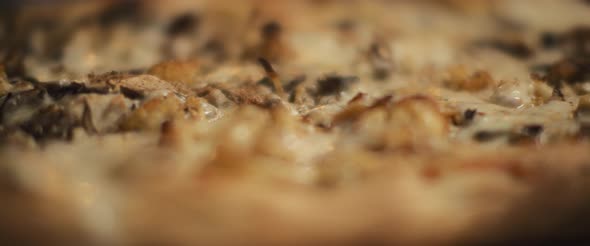 Close up of traditional al taglio pizza with cauliflower and mushrooms toppings.