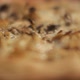 Close up of traditional al taglio pizza with cauliflower and mushrooms toppings. - VideoHive Item for Sale
