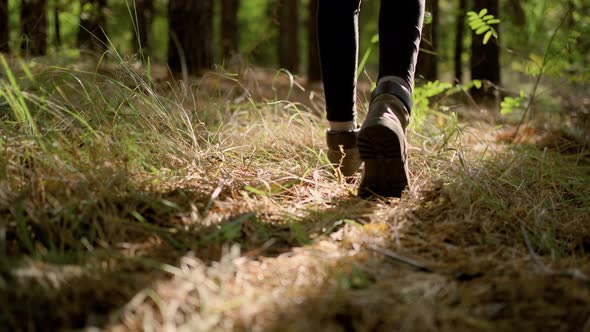 Close Up Womans Feet in Hiking Boots Walking on Grass in Woods