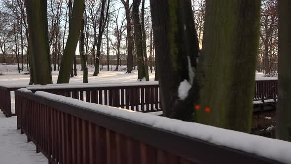 A Path Over a Wooden Bridge in a Snow Covered Park on a Sunny Day