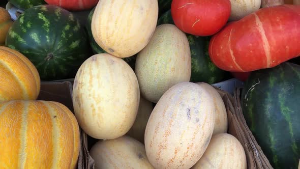 Melons and Watermelons at the Farmer's Market