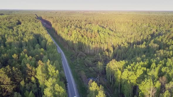 High Aerial View Road Cuts Through Huge Forest at Sunset