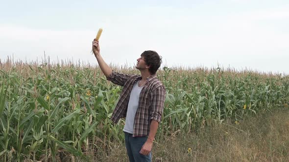 An agronomist in a corn field inspects the corn crop. Agriculture.