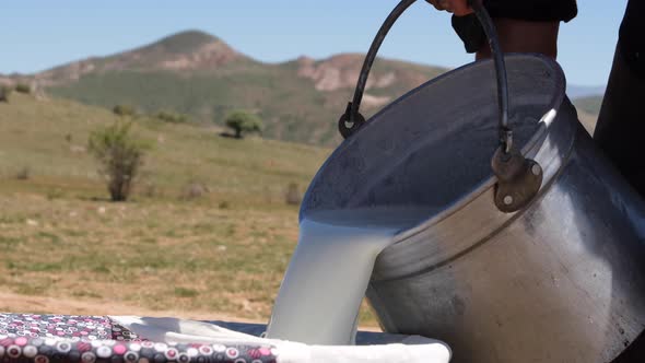 Production Of Natural Milk On The Farm