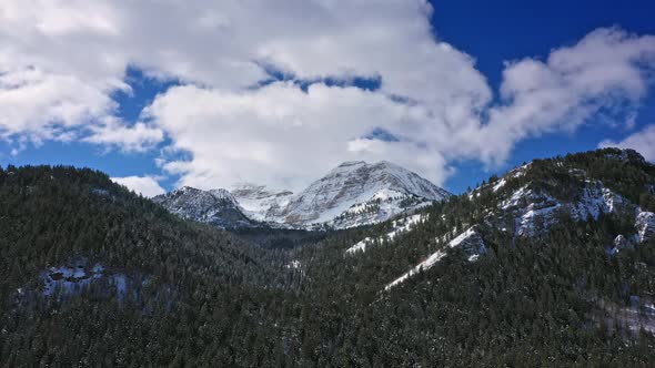 Aerial view of snow capped mountain above pine trees