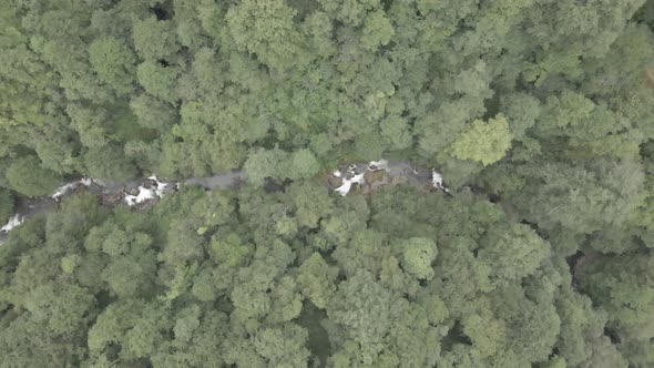 Mtirala National Park from drone, Adjara, Georgia. Flying over subtropical mountain forest