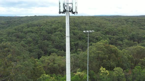 Aerial footage of a bird and and a telecommunications tower