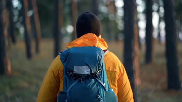Back View Hiker Man Goes with Big Backpack Through Dense Green Forest