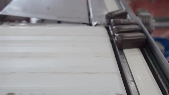 Chocolate Factory Production of Glazed Curds View of Chocolates Transported on Conveyor