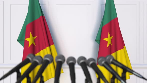 Cameroonian Official Press Conference